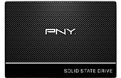 Ổ cứng SSD PNY | Ổ cứng SSD PNY CS900 250GB SATA (SSD7CS900-250-RB)