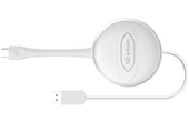 Trình chiếu không dây Infobit | 3 in 1 USB Dongle Infobit iShare K31