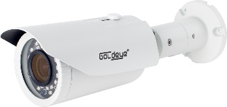 Camera IP hồng ngoại 2.0 Megapixel Goldeye GE-NRW414-IR