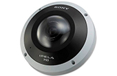 Camera IP SONY | Camera IP Dome SONY SNC-HM662