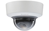 Camera IP SONY | Camera IP Dome SONY SNC-EM601
