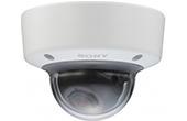 Camera IP SONY | Camera Dome IP 2.13 Megapixels SONY SNC-VM641