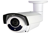 Camera AVTECH | Camera HD-TVI hồng ngoại 2.0 Megapixel AVTECH DGC1205XFTP