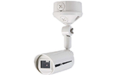 Báo động TAKEX | Battery Operated Flame Sensor TAKEX TX-124R