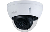 Camera IP DAHUA | Camera IP Dome hồng ngoại 2.0 Megapixel DAHUA IPC-HDBW2230EP-S-S2