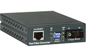 Cáp mạng AMP | 10/100 Mbps Multimode SC Media Converter COMMSCOPE/AMP (1591024-9)