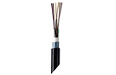 Cáp mạng AMP | Outdoor All-Dielectric Fiber Optic Cables 4F 50/ 125µm COMMSCOPE/AMP (Y-1427449-2)