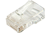 Cáp-phụ kiện LS | Đầu nối RJ45 LS UTP Cat6 (LS-MP-UC6-RJ45-TR-A6)