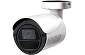 Camera AVTECH | Camera HD-TVI hồng ngoại 5.0 Megapixel AVTECH DGC5105T/F36