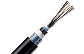 Cáp-phụ kiện LS | Cáp quang LS LT-DJBGSEX/BRN MX8XXX(06T2.00)