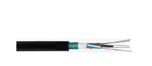 Cáp quang luồn ống 48 sợi Single mode Tw-Scie GYTS-SM-48B1