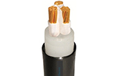 Cáp điện lực CXV-3R-600V CADIVI CXV-3x5.5