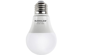 Đèn LED KAWALED | Đèn LED búp 3W KAWALED A50-3W-T/V