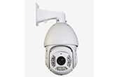 Camera IP VANTECH | Camera IP Speed Dome hồng ngoại 2.0 Megapixel  VANTECH VP-4562