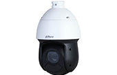 Camera IP DAHUA | Camera IP Speed Dome hồng ngoại 2.0 Megapixel DAHUA DH-SD49216DB-HNY