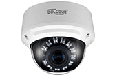 Camera IP GOLDEYE | Camera IP Dome hồng ngoại 2.0 Megapixel Goldeye GE-NFD520