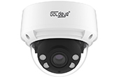 Camera IP GOLDEYE | Camera IP Dome hồng ngoại 8.0 Megapixel Goldeye GE-NAD680