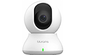 Camera IP Blurams | Camera IP Dome hồng ngoại không dây 2.0 Megapixel Blurams A31