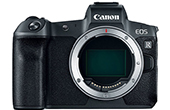 MÃ¡y áº£nh CANON | Máy ảnh CANON EOS R Body (Chính hãng)
