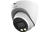Camera IP DAHUA | Camera IP Dome Wizsense Full-color 2.0 Megapixel DAHUA DH-IPC-HDW2249T-S-LED