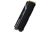Ổ cứng Transcend | Ổ cứng SSD PCIe M.2 2TB Transcend TS2TMTE250H