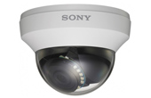 Camera SONY | Camera Dome hồng ngoại SONY SSC-YM501R