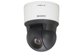 Camera IP SONY | Camera PTZ IP SONY SNC-ER521