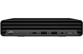 Máy vi tính HP | Máy tính để bàn HP Elite Mini 800 G9 (73D13PA)