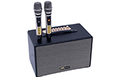 Loa Karaoke di động Nova Audio NV-300 Platinum