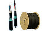 Cáp-phụ kiện LS | Cáp quang LS LT-DJBGEXX/BRN MG6XXX(06T2.00)