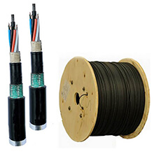 Cáp quang LS LT-DJBGSEX/BRN SE24XX(06T2.00)