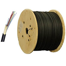 Cáp quang LS LT-DJBGEXX/BRN SE48XX(12T2.00)