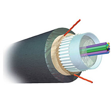 Cáp quang Outdoor 4FO OM3 COMMSCOPE (4-1427449-3)