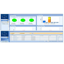 SNC License RUIJIE RG-SNC-Pro-WLAN-EN-license-100