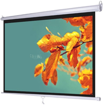 Màn chiếu DALITE | Màn chiếu treo tường Wall DALITE 70”x 70”(1.78 x 1.78m)
