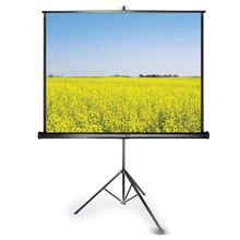 Màn chiếu DALITE | Màn chiếu 3 chân Tripod DALITE 96”x 96”(2.44 x 2.44m)