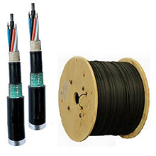 Cáp quang LS LT-DJBGEXX/BRN MG96XX(12T2.30)