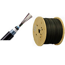 Cáp quang LS LT-DJBGSEX/BRN M496XX(06T2.30)