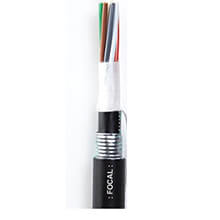 Cáp quang chôn trực tiếp 24FO FOCAL DB24