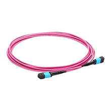 Dây nhảy quang | Dây nhảy quang MPO-MPO 12 sợi Multimode OM4 (3 mét)