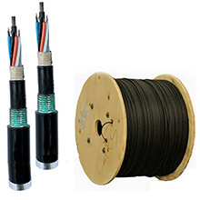 Cáp quang LS LT-DJBGEXX/BRN MG6XXX(06T2.00)