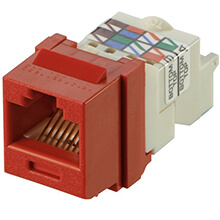 Modular Jack Module Panduit NK6TMRD