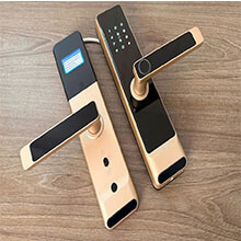 Khóa cửa vân tay Xingfa 6in1 Viro-Smartlock VR-S30FG 